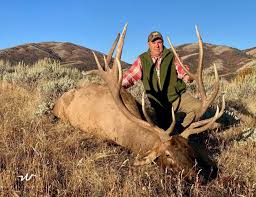 Why Elk Hunting Outfitter Is a Lot More Dangerous Than You Realized – Tips